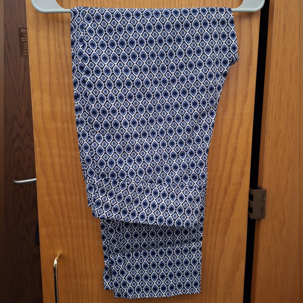 Blue/white geometric pattern ankle pants